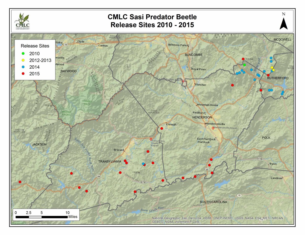 Beetle_release_sites_NEW