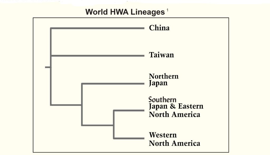 Documentary Hypothesis Chart